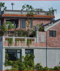 Gạch cổ xây không trát kt 230x114x65mm